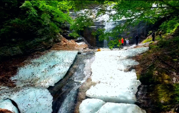 image003.jpg image003.jpg