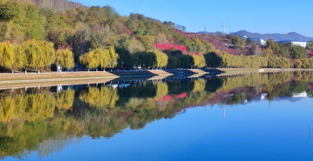 image005.jpg image005.jpg